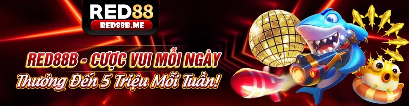 Hình ảnh minh họa chính sách quyền riêng tư của N1883 link vào